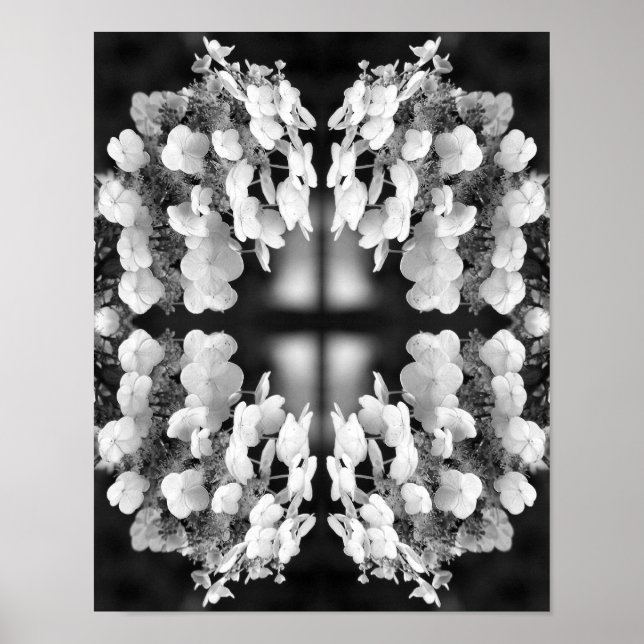 Poster Hydrangea Noir Et Blanc Miroir Art Floral (Devant)