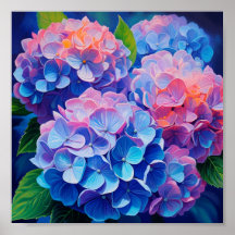 Hydrangeas vives