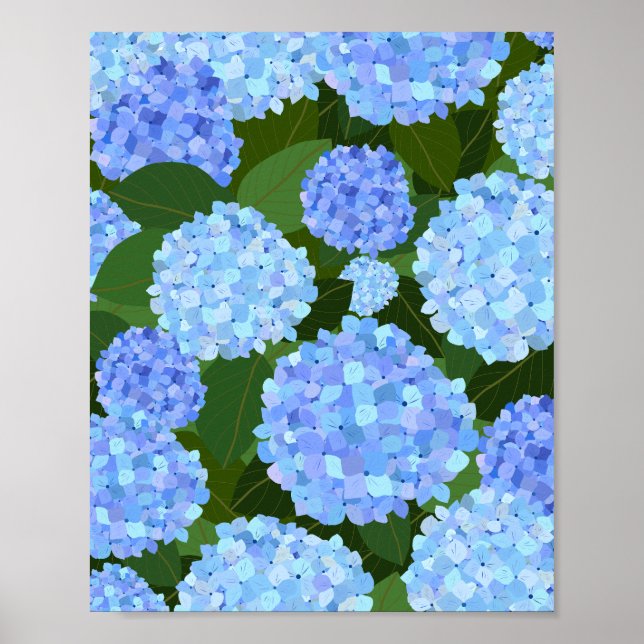 Poster Hydrangées bleu clair (Devant)