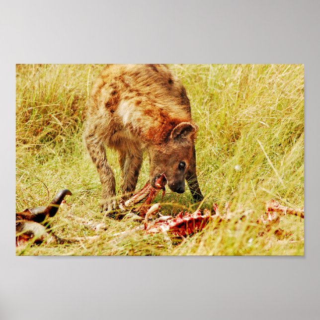 Poster Hyena Kenya Masai Mara (Devant)