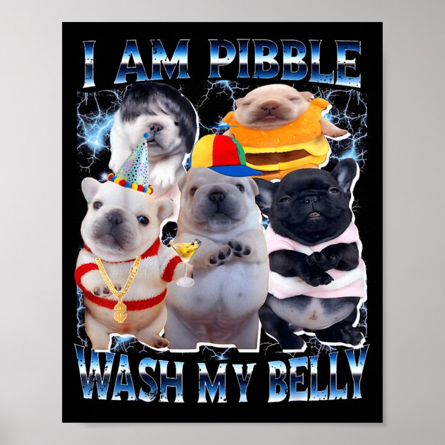 Poster I Am Bble Wash My Belly Bble Meme Funny Dog Brainr (Devant)