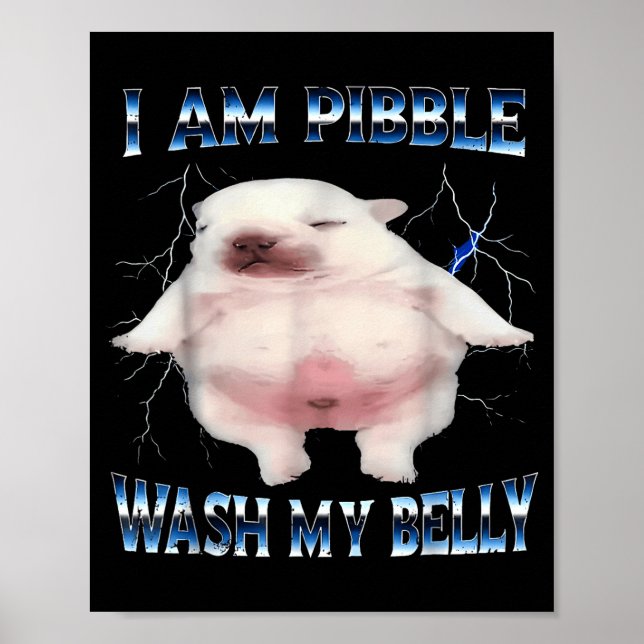 Poster I Am Bble Wash My Belly Bble Meme Funny Dog Brainr (Devant)