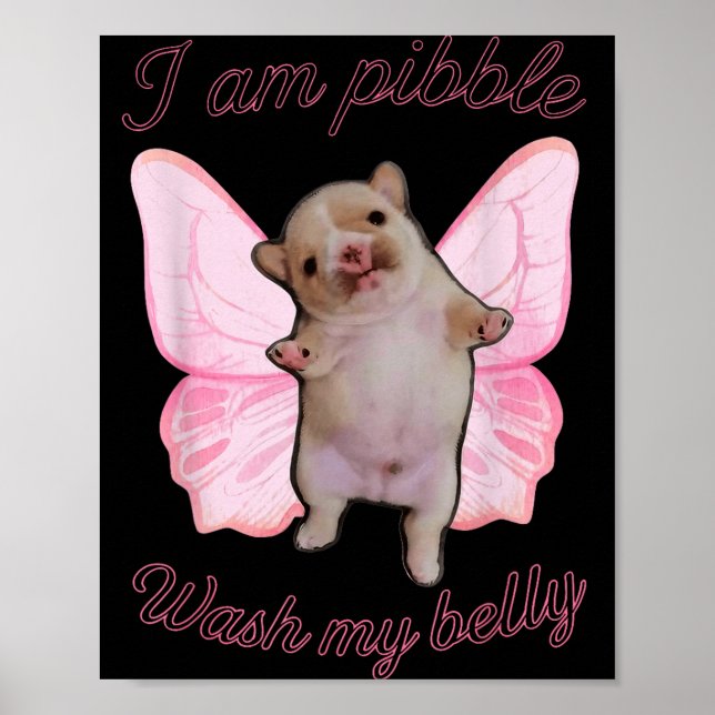 Poster I Am Bble Wash My Belly Bble Meme Funny Dog Brainr (Devant)