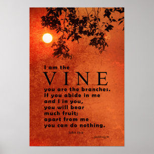 Poster I am the Vine ... (Scripture: John 15:5)