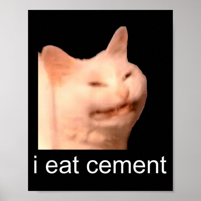 Poster I Eat Cement Cursed Cat Funny Oddly Specific Meme  (Devant)
