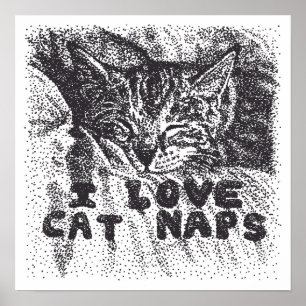 Poster I Love Cat Naps, chat dort