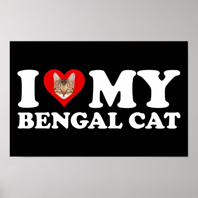 Poster I Love (Coeur) My Bengal Cat (Devant)