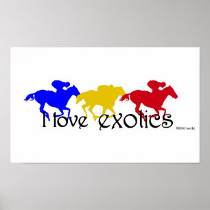Poster I Love Exotics