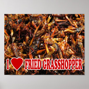 Poster I Love (Heart) Fried Grasshopper