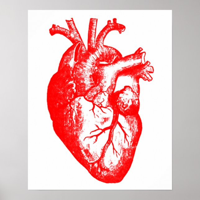 Poster I love / I coeur anatomie cardiaque (Devant)