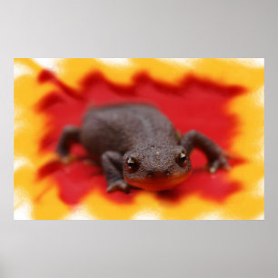 Poster I Love Newts Fine Art Prints
