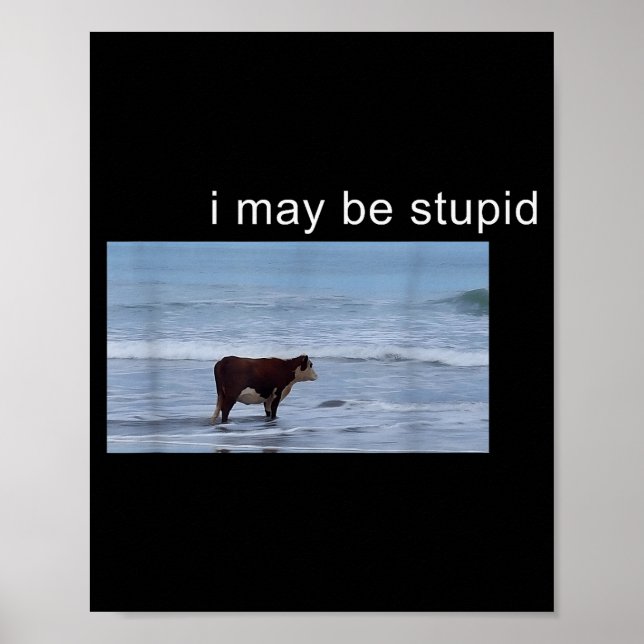 Poster I May Be Stud Cow Meme I May Be Stud Funny  (Devant)