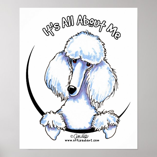 Poster IAAM de caniche standard blanc (Devant)