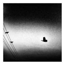 Ianiverse Noir (La Mission)