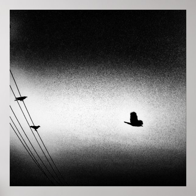 Poster Ianiverse Noir (La Mission) (Devant)