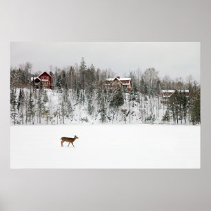 Poster Ice & Snow Deer in Snow Quebec, Canada