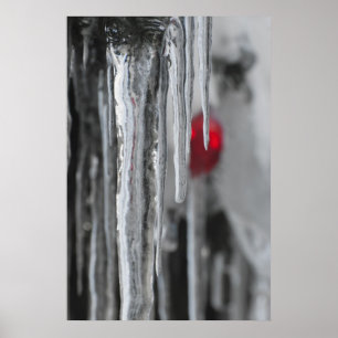 Poster Icicules