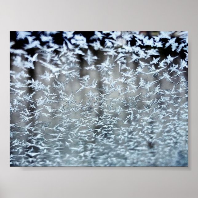 Poster Icicules d'hiver (Devant)