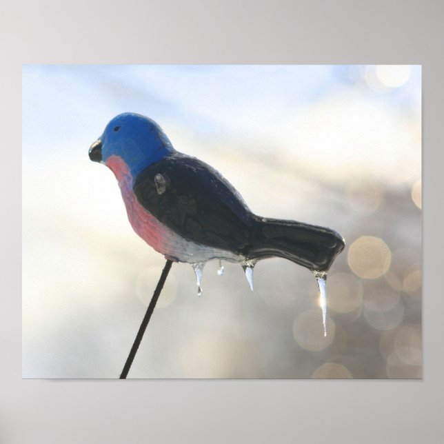 Poster Icicules Sur Ornement De Pelouse Oiseau Hiver (Devant)
