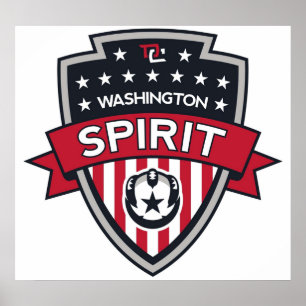 Poster Icône de l'esprit de Washington