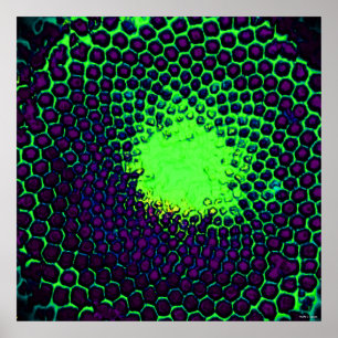 Poster Icône de miel Abstraite Design vert et violet