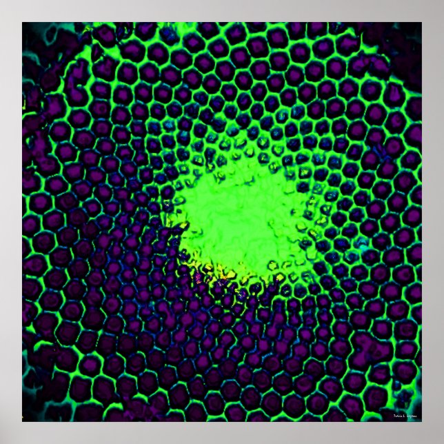Poster Icône de miel Abstraite Design vert et violet (Devant)