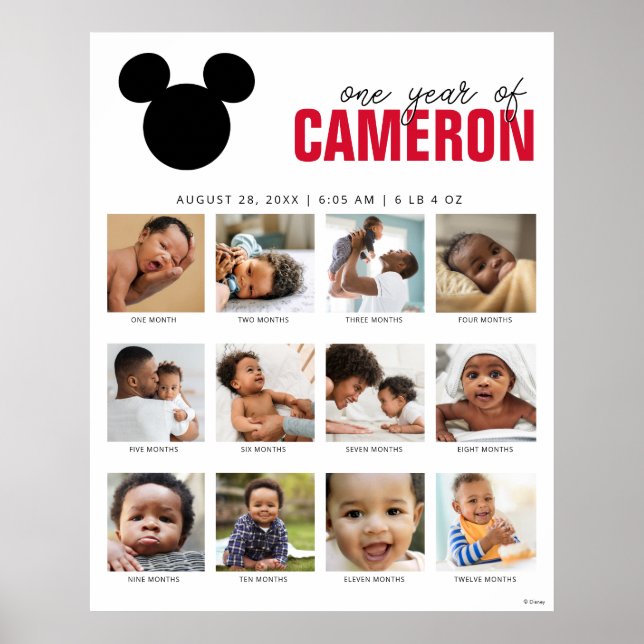 Poster Icône Mickey | Une année de - 12 mois (Devant)