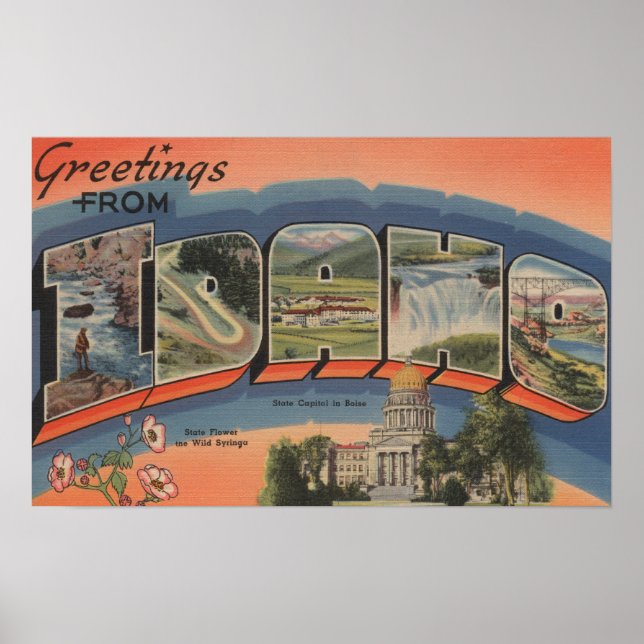 Poster Idaho (Capitale Nationale/Fleur) - Grande Lettre (Devant)