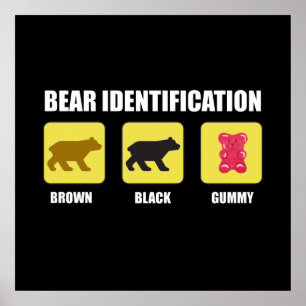 Poster Identification de l'ours drôle