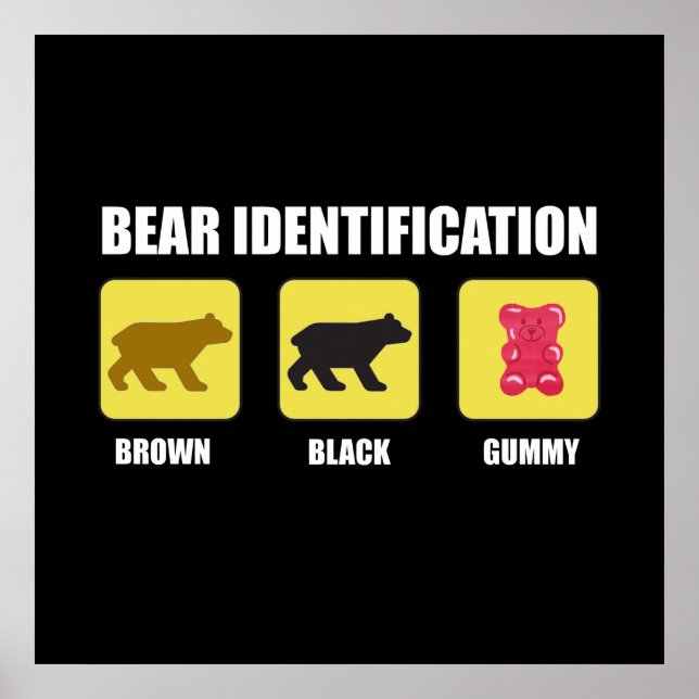 Poster Identification de l'ours drôle (Devant)