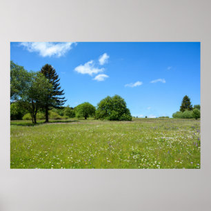 Poster Idylle des prairies