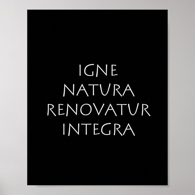 Poster Igne natura rénovation integra (Devant)
