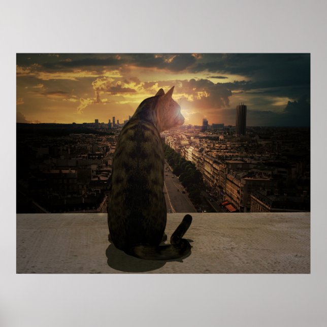 Poster Ignorer (Devant)