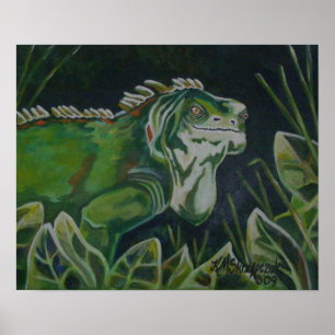 Poster Iguana verte