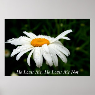 Poster Il m'aime, il m'aime pas