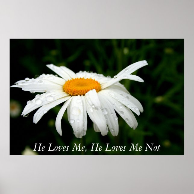 Poster Il M'Aime, Il Ne M'Aime Pas (Devant)