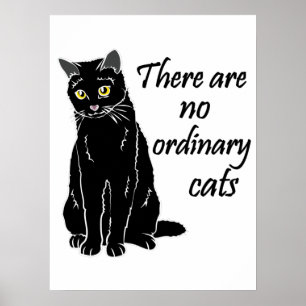 Poster Il N'Y A Pas De Chats Ordinaires