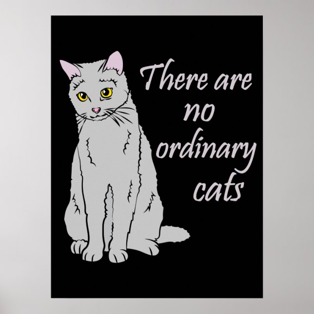 Poster Il N'Y A Pas De Chats Ordinaires - Chat Gris (Devant)