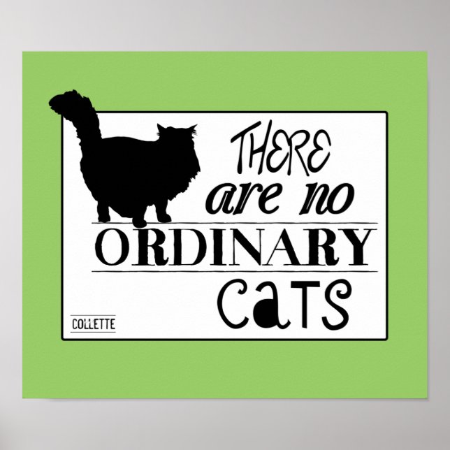 Poster Il N'Y A Pas De Chats Ordinaires - Toutes Les Coul (Devant)