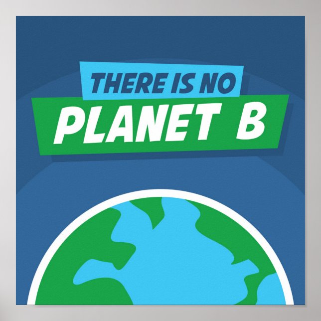 Poster Il N'Y A Pas De Planète B (Devant)