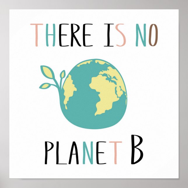 Poster Il N'Y A Pas De Planète B (Devant)