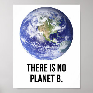 Poster Il n'y a pas de planète B