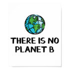 Il n'y a pas de planète B