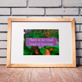 Poster Il n'y a pas de route royale pour apprendre l'affi