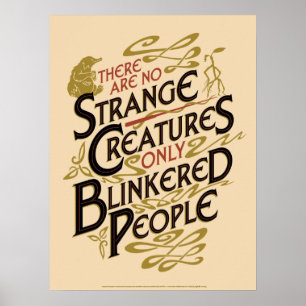 Poster Il N'Y A Pas D'Étrange Créatures