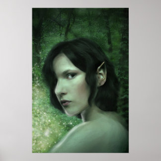 Poster Il y a de la magie dans la forêt