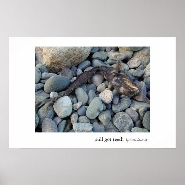 Poster Il Y A Toujours Des Dents (Devant)