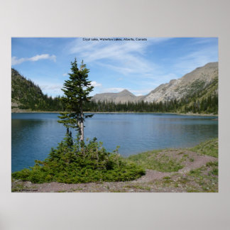 Poster Île