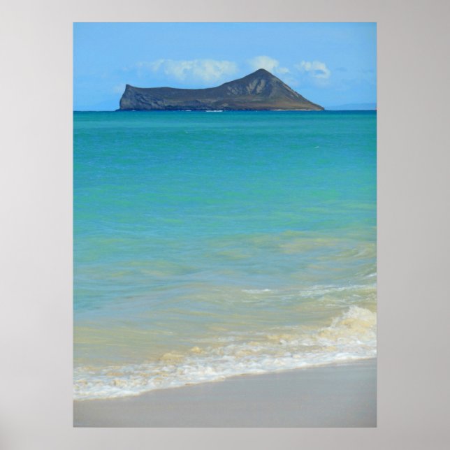 Poster Île de lapin (Devant)