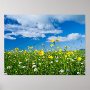 Poster île de South Uist   Écosse